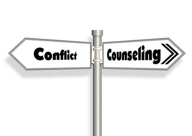 consulting-541439_640